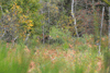dsc_0018.jpg