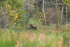 dsc_0019.jpg