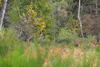 dsc_0021.jpg