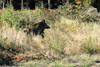 dsc_0004.jpg