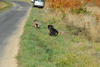 dsc_0007.jpg