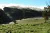 dsc_0011.jpg