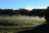 dsc_0012.jpg