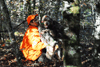 dsc_0014.jpg