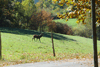 dsc_0015.jpg
