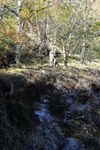 dsc_0018.jpg