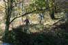 dsc_0019.jpg