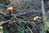 dsc_0023.jpg