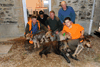 dsc_0026.jpg