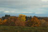 dsc_0007.jpg