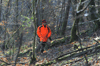 dsc_0009.jpg