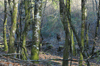 dsc_0004.jpg