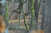 dsc_0006.jpg