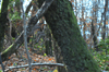 dsc_0008.jpg