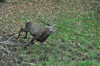 dsc_0013.jpg
