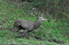 dsc_0014.jpg