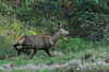 dsc_0016.jpg
