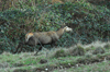 dsc_0017.jpg