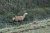 dsc_0018.jpg