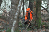 dsc_0004.jpg