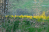 dsc_0007.jpg