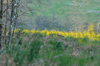 dsc_0008.jpg