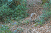 dsc_0004.jpg