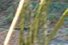 dsc_0005.jpg