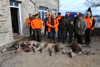 dsc_0014.jpg