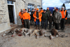 dsc_0015.jpg