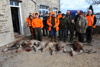 dsc_0016.jpg