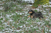 dsc_0012.jpg