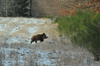 dsc_0020.jpg