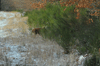 dsc_0021.jpg