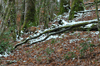 dsc_0022.jpg