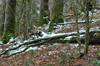 dsc_0023.jpg