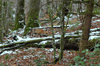 dsc_0024.jpg