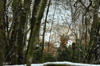 dsc_0025.jpg