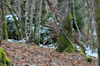 dsc_0027.jpg
