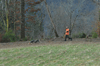 dsc_0003.jpg