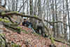 dsc_0004.jpg