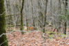 dsc_0005.jpg