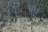 dsc_0014.jpg