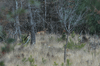 dsc_0015.jpg