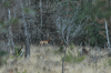 dsc_0017.jpg