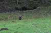 dsc_0007.jpg