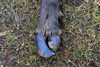 dsc_0014.jpg