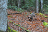 dsc_0001.jpg