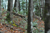 dsc_0004.jpg