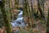 dsc_0014.jpg
